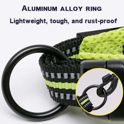 Walking Collar Comfort Padded with Buckle