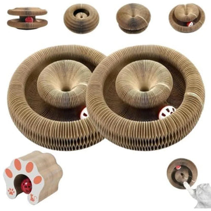 Magic Organ for Indoor Cats Foldable