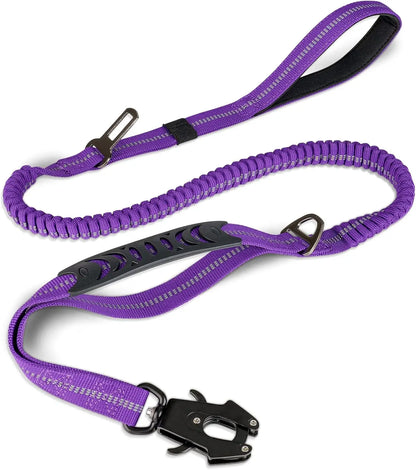 Reflective Shock Absorbing Leash with Car Seatbelt
