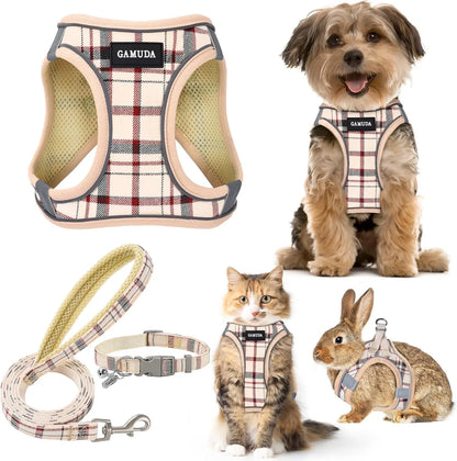 Harness Collar Leash Set,