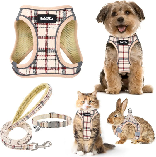 Harness Collar Leash Set,