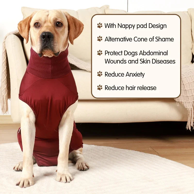 Recovery Suit for After Surgery Prevents Licking