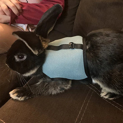 Mesh Breathable Ferret Bunny Harness Leash Set