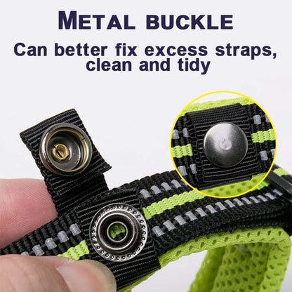 Walking Collar Comfort Padded with Buckle