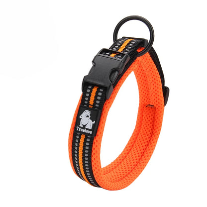 Walking Collar Comfort Padded with Buckle