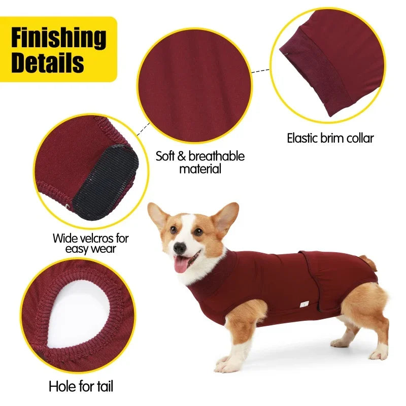 Recovery Suit for After Surgery Prevents Licking