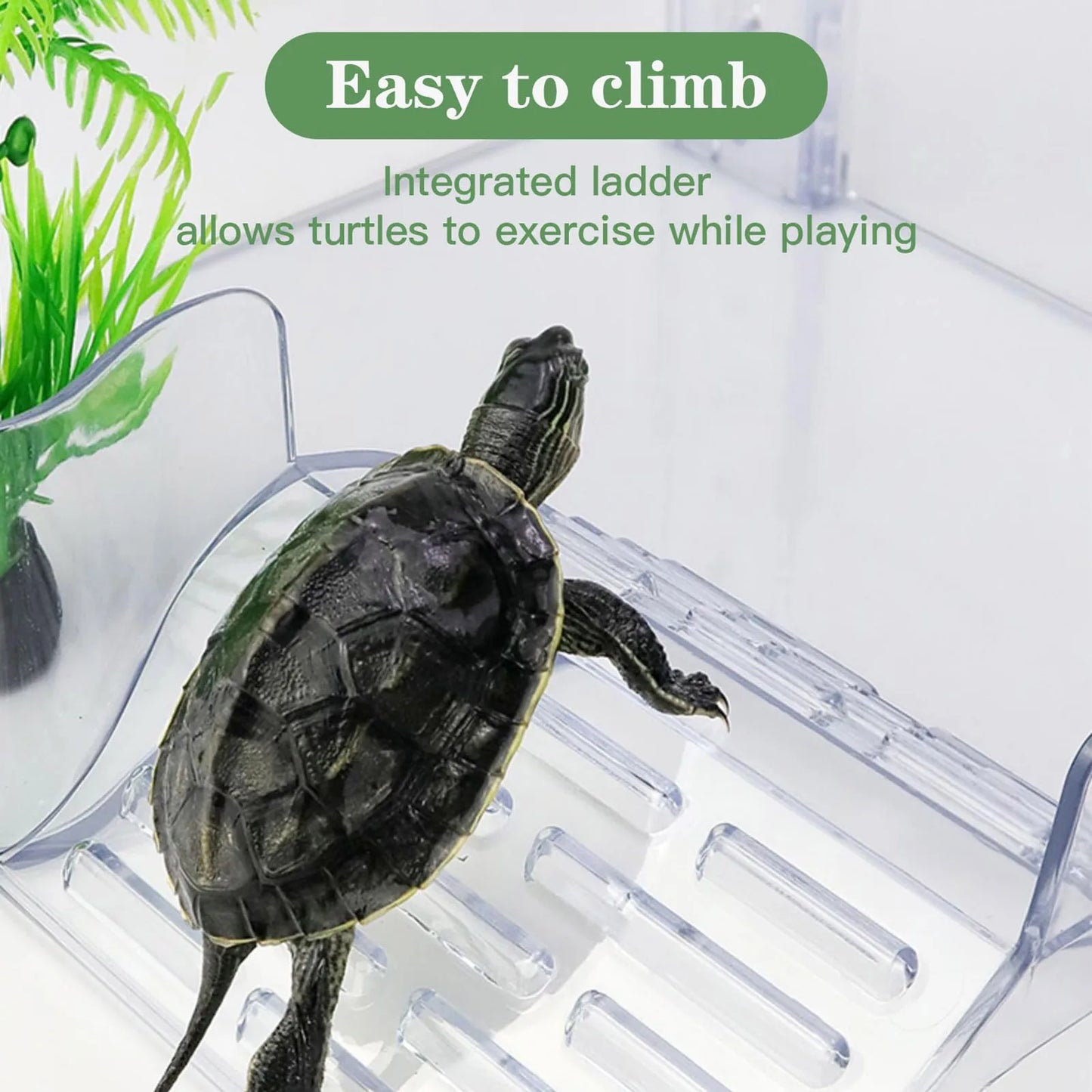 Floating Turtle Basking Platform Transparent Perforated