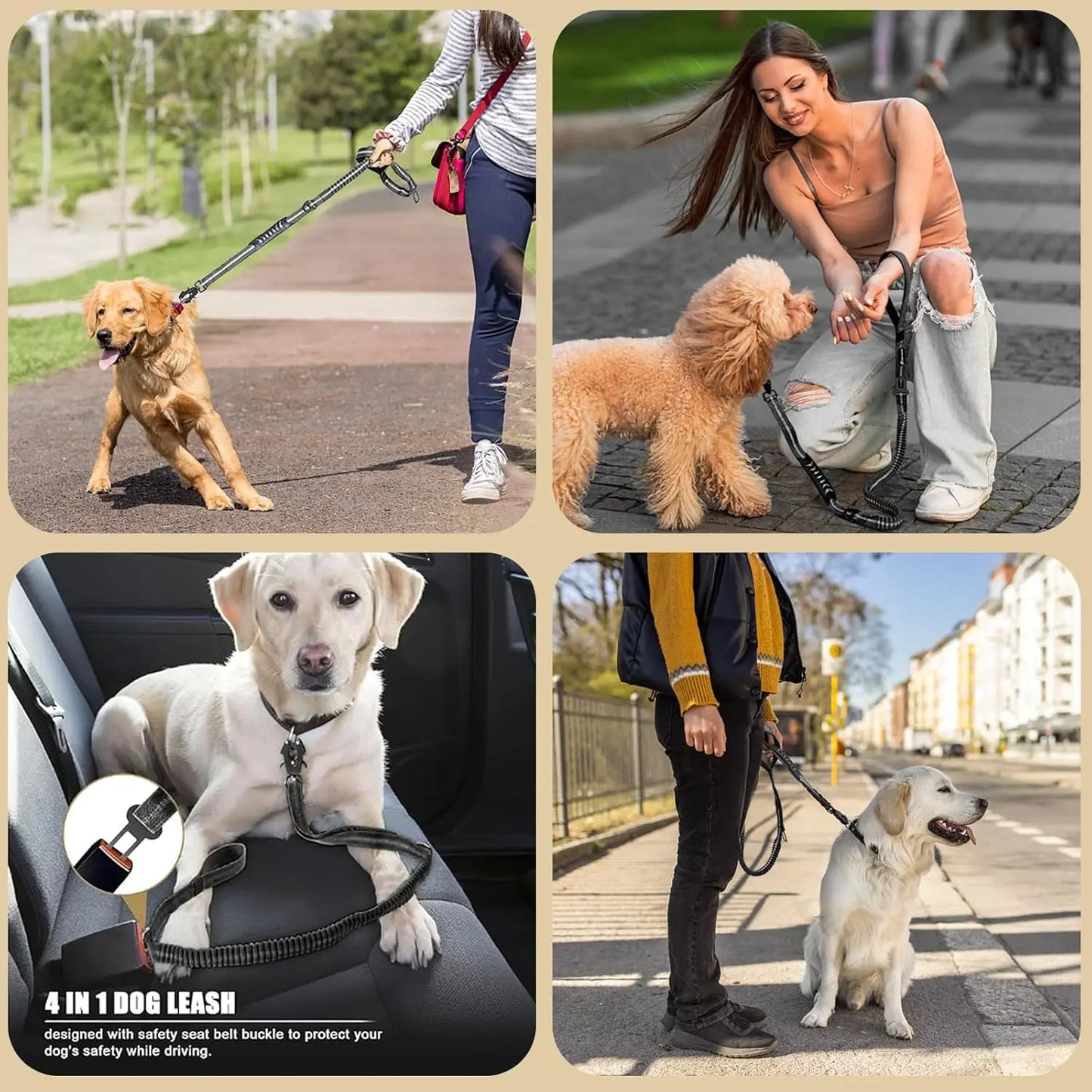 Reflective Shock Absorbing Leash with Car Seatbelt