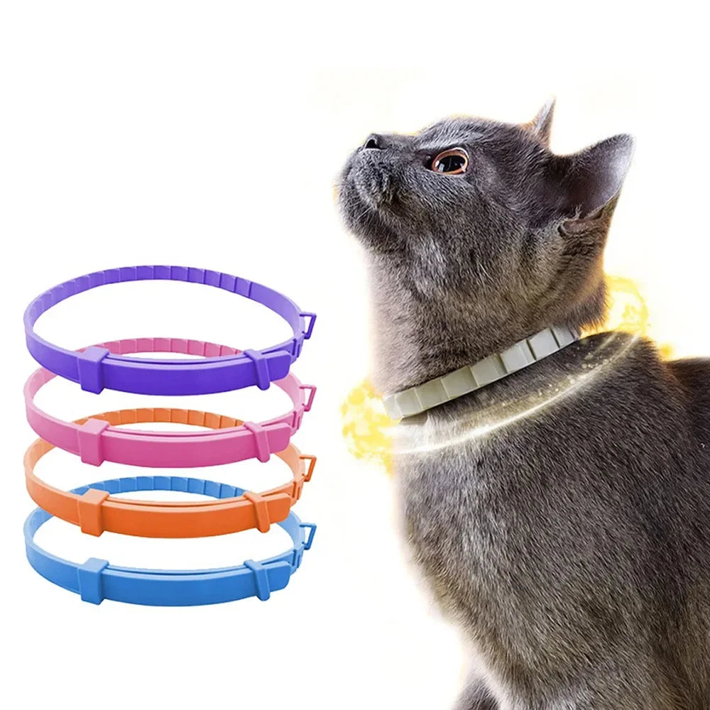 Adjustable Waterproof Plastic Dog Collar for Small Medium Large