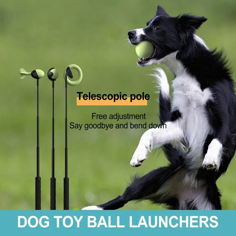 Hand Throwing Pole Launcher Outdoor Training