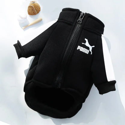Dog Cat Sweatshirts Customizable, Warm Letter Design for Autumn Winter, Small Medium Large Pet Clothes Trendy Brand Style