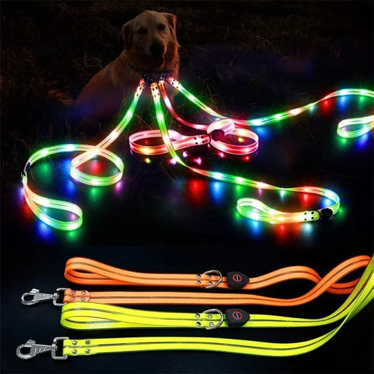 Light Up  Leash Safety Glow USB Rechargeable