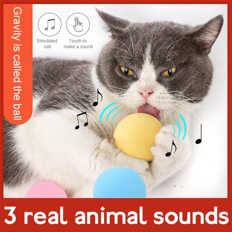 HAMNIFY Interactive Cat Sound Ball | Lifelike Animal Sounds, Catnip-Ready | Pink, Blue & Yellow Stevvex