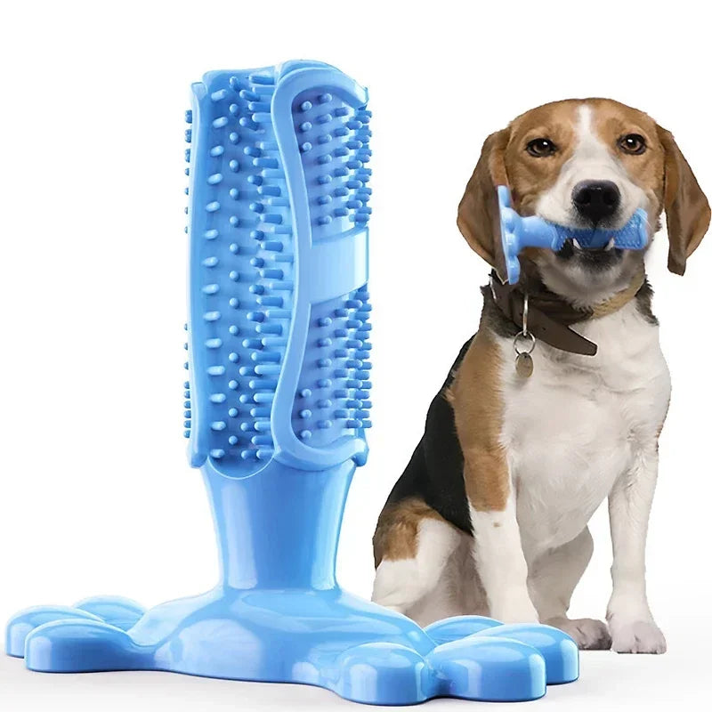 Cactus Interactive Rubber Chew Toys