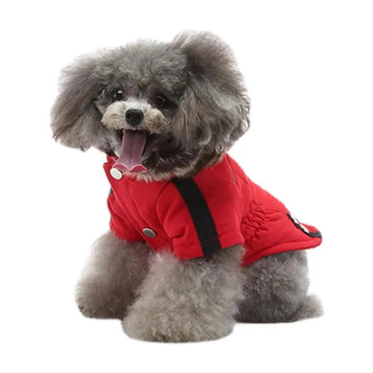 Down Jacket Hoodie Warm Clothing For Winter