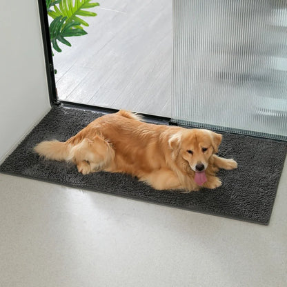 Door Mat For Muddy Paws