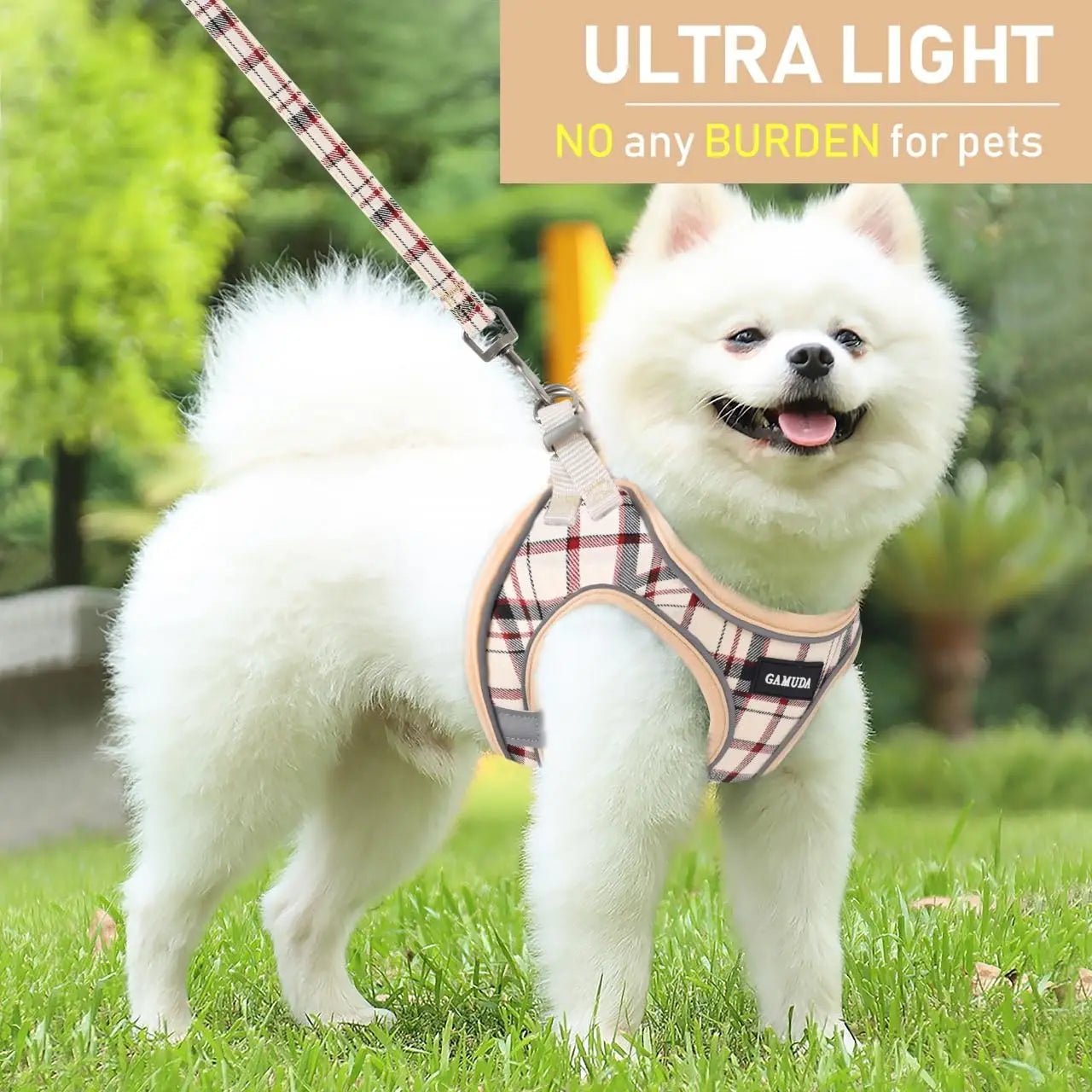 Harness Collar Leash Set,
