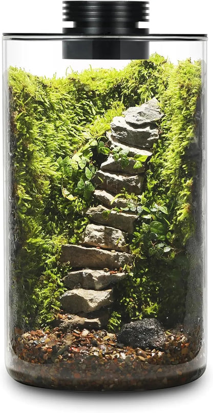 Glass Plant Terrarium with LED Grow Light Betta Fish Tank