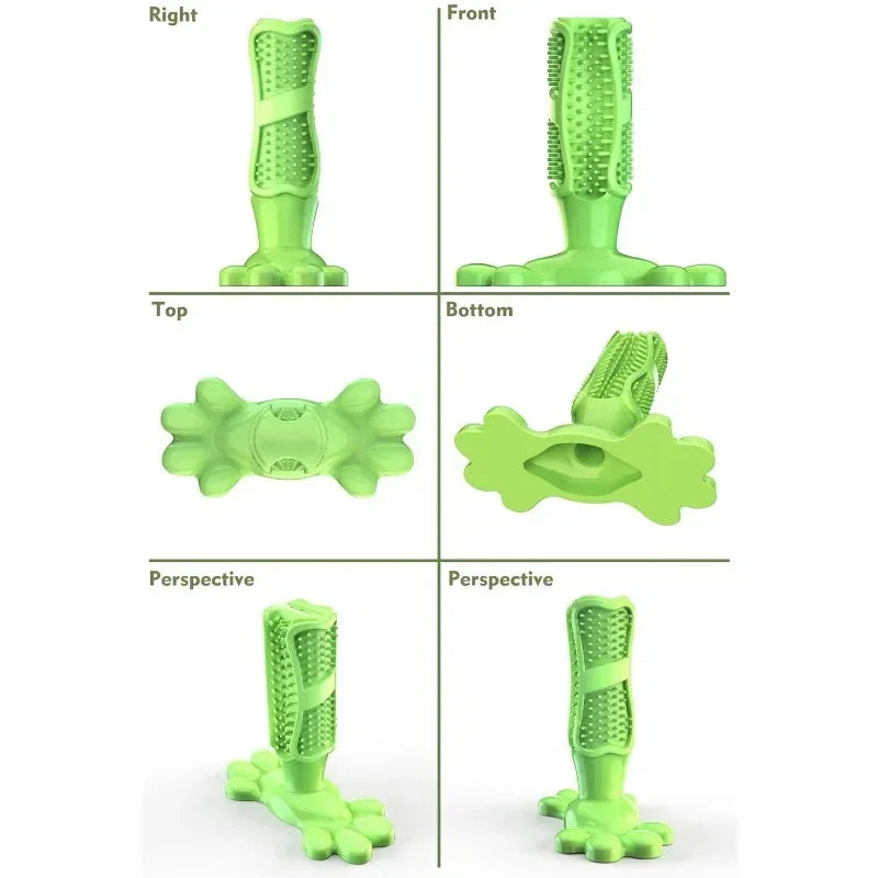 Cactus Interactive Rubber Chew Toys