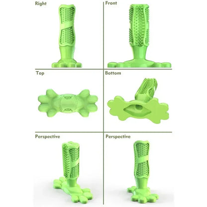 Cactus Interactive Rubber Chew Toys