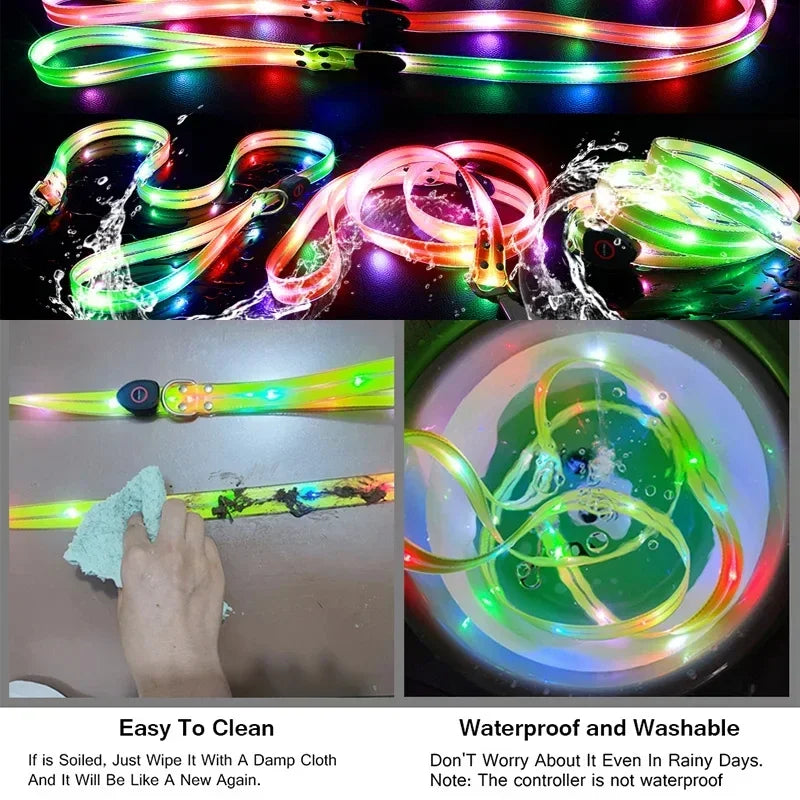 Light Up  Leash Safety Glow USB Rechargeable
