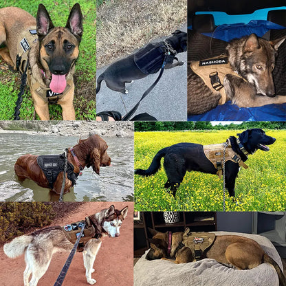Tactical Dog Harness for Training Walking Hunting