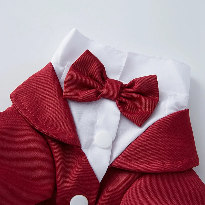 Tuxedo Wedding Party Suit for Small Medium Dogs