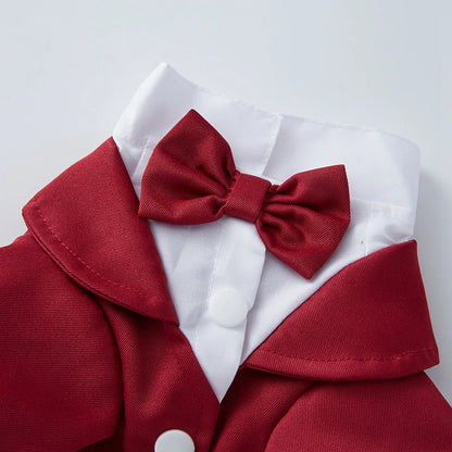 Tuxedo Wedding Party Suit for Small Medium Dogs