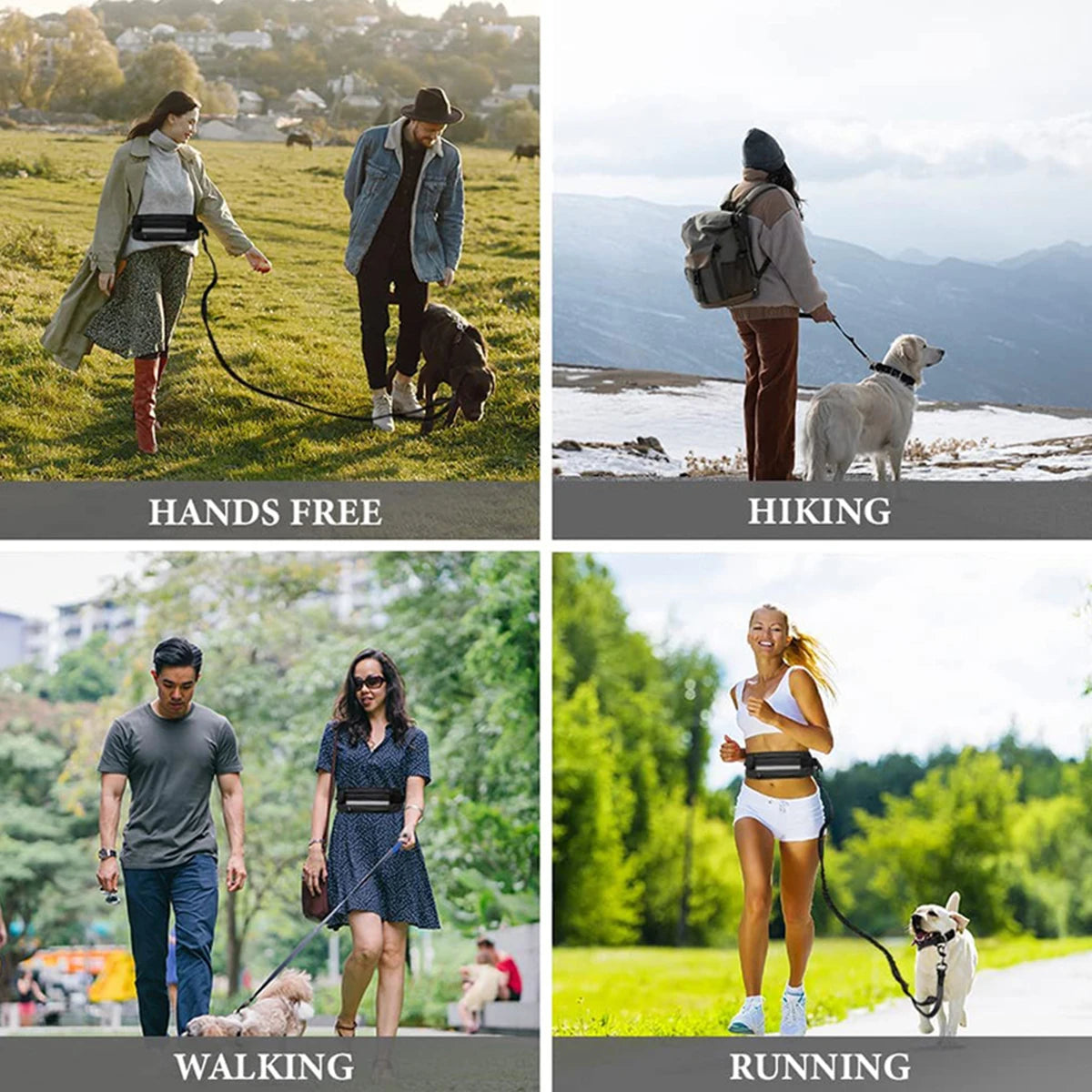 Hands Free Reflective Leash with Waist Bag