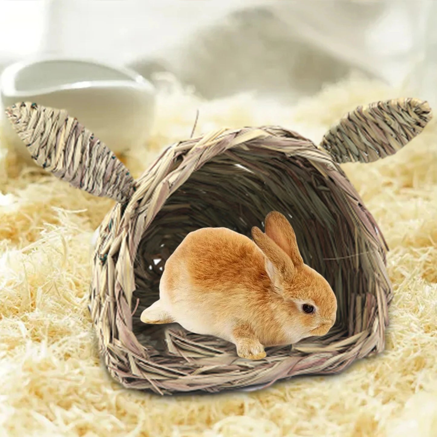 Rabbit Straw House