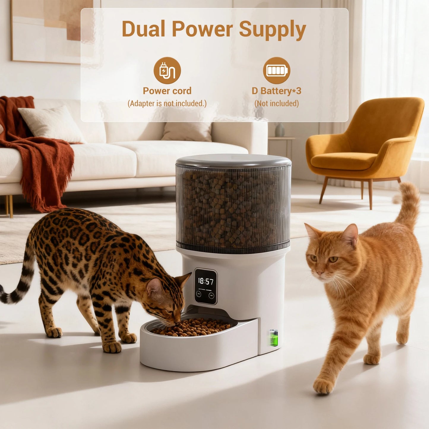 Programmable 4L Automatic Pet Feeder Up to 6 Meals Daily