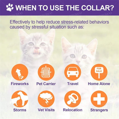 Calming Pheromone Collar Relieves Anxiety