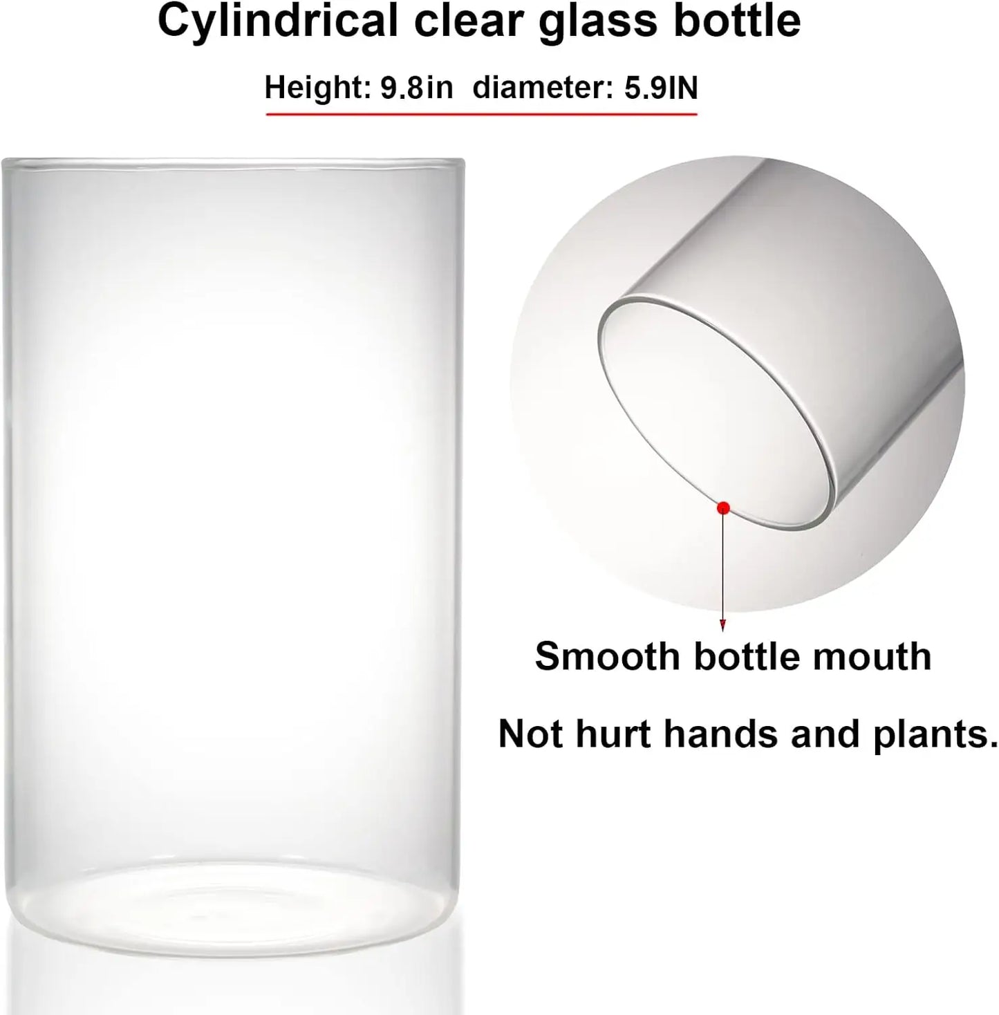 Glass Plant Terrarium with LED Grow Light Betta Fish Tank