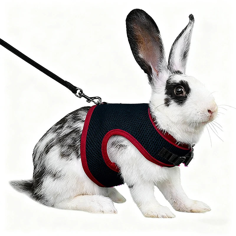 Mesh Breathable Ferret Bunny Harness Leash Set