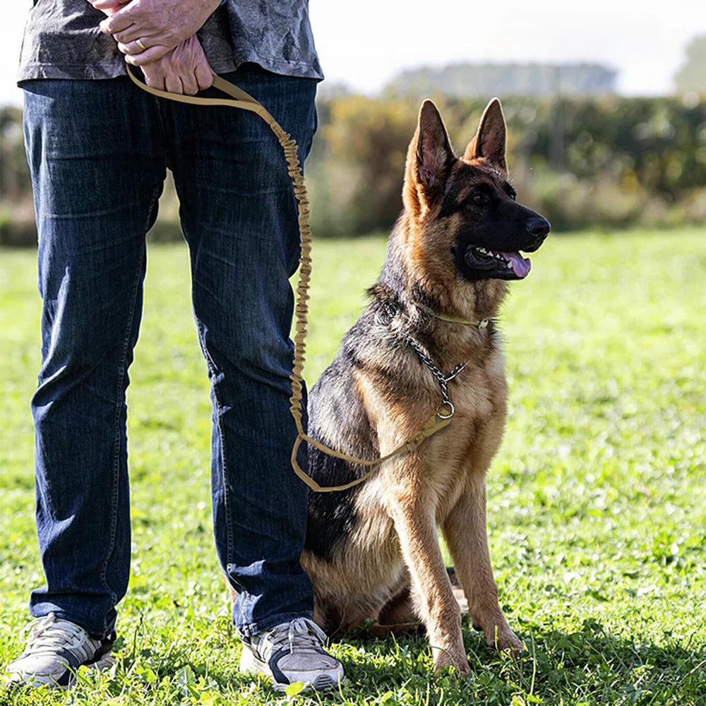 Military Adjustable Leash Quick Release With 2 Control Handle