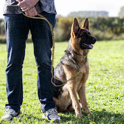 Military Adjustable Leash Quick Release With 2 Control Handle