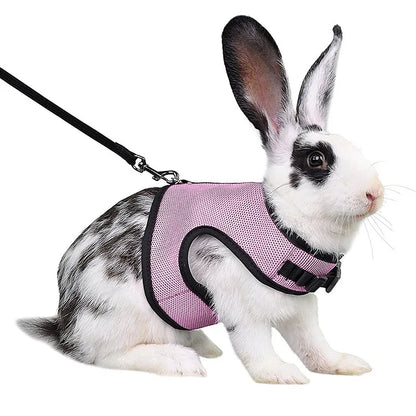Mesh Breathable Ferret Bunny Harness Leash Set