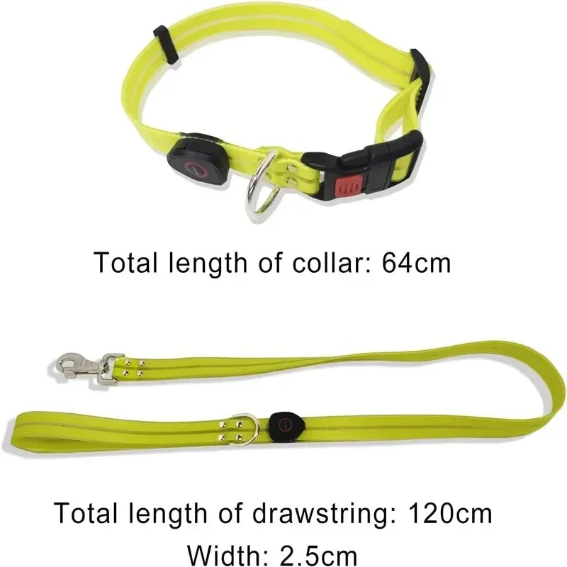 Light Up  Leash Safety Glow USB Rechargeable