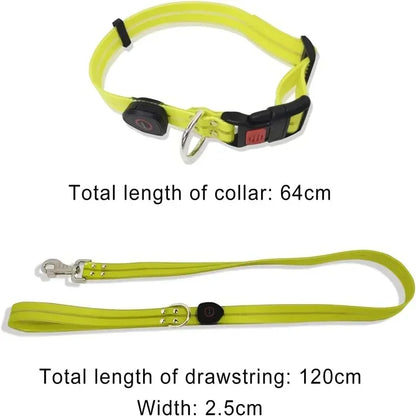 Light Up  Leash Safety Glow USB Rechargeable