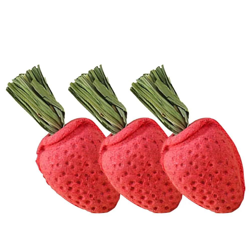 3Pcs Hamster Molar Toy Tooth Molding Strawberry