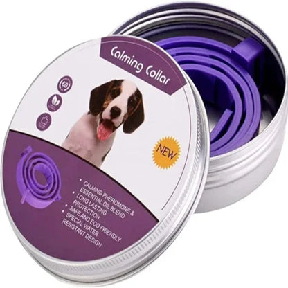 Calming Pheromone Collar Relieves Anxiety