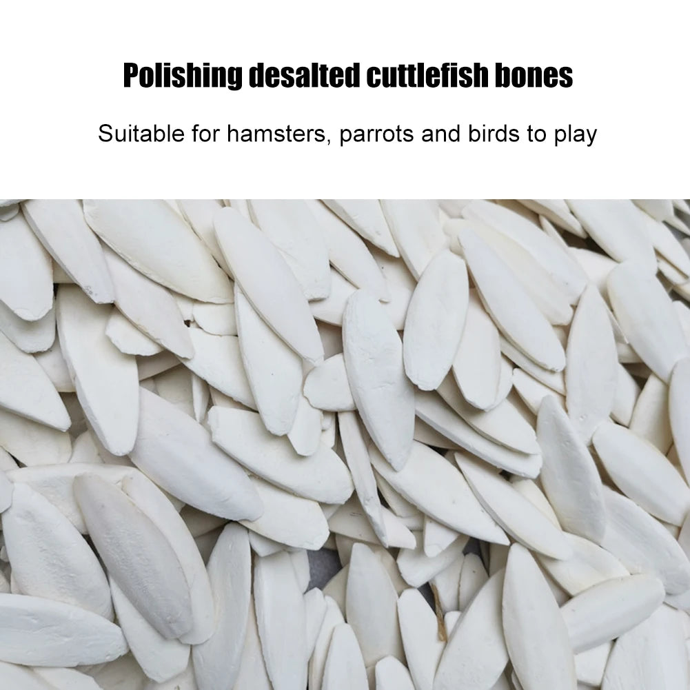 Cuttlefish Bone Parrot Chewing Toy