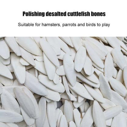 Cuttlefish Bone Parrot Chewing Toy