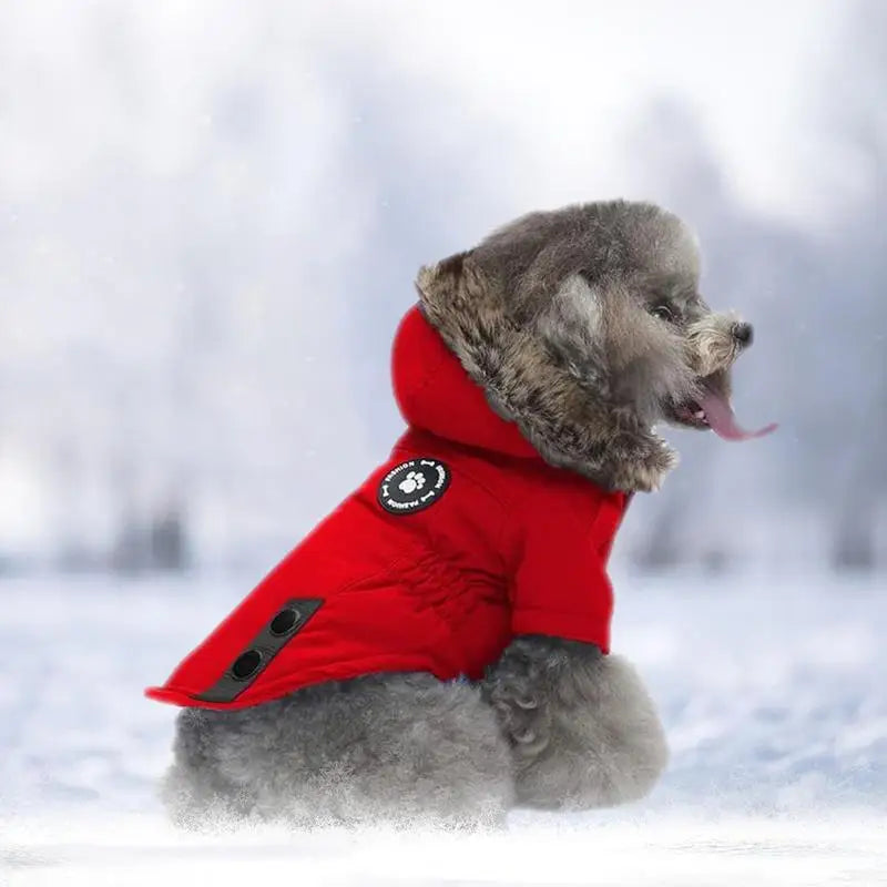 Down Jacket Hoodie Warm Clothing For Winter