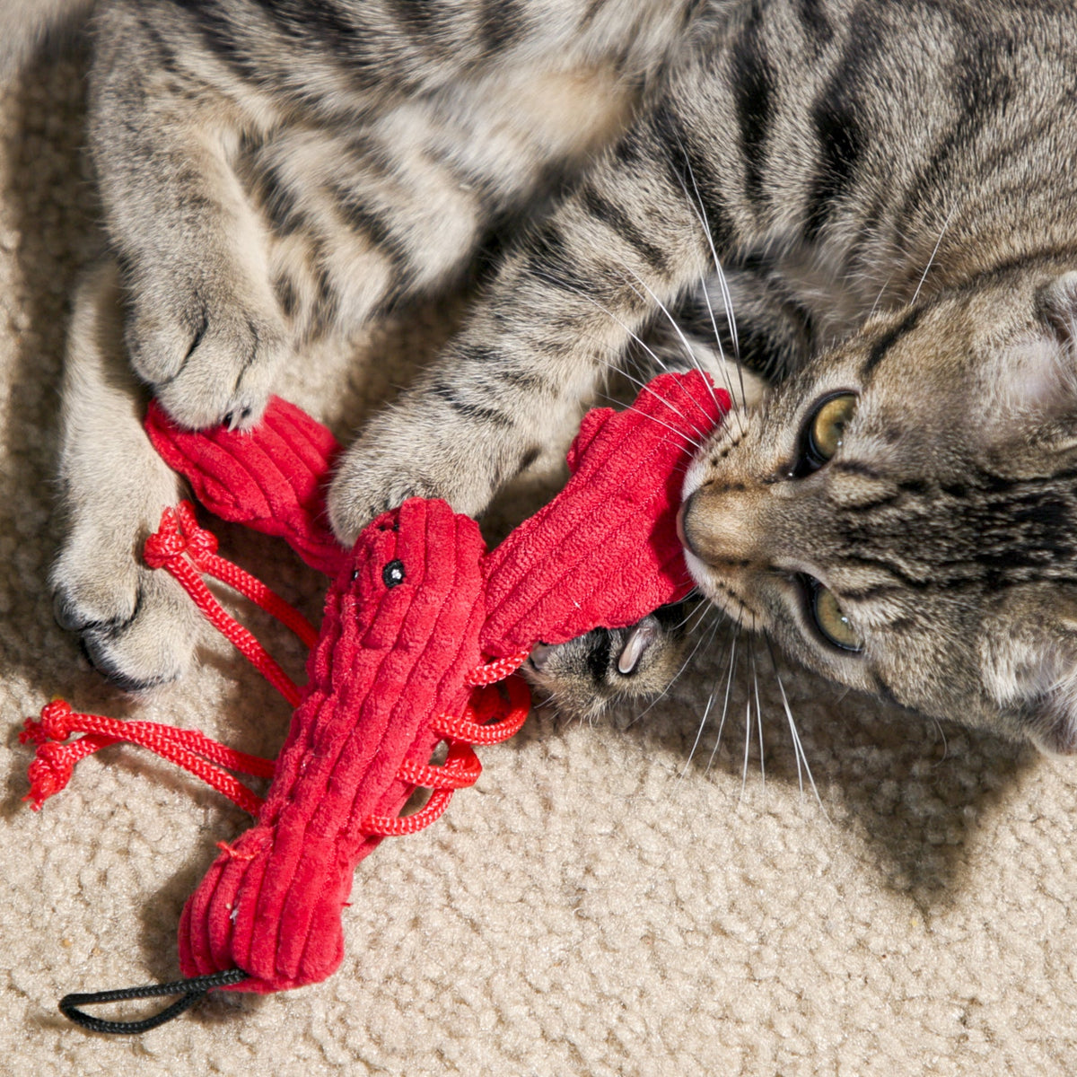 HuggleKats® Water Critters Catnip Cat Toys — Bucket of 12 HuggleHounds