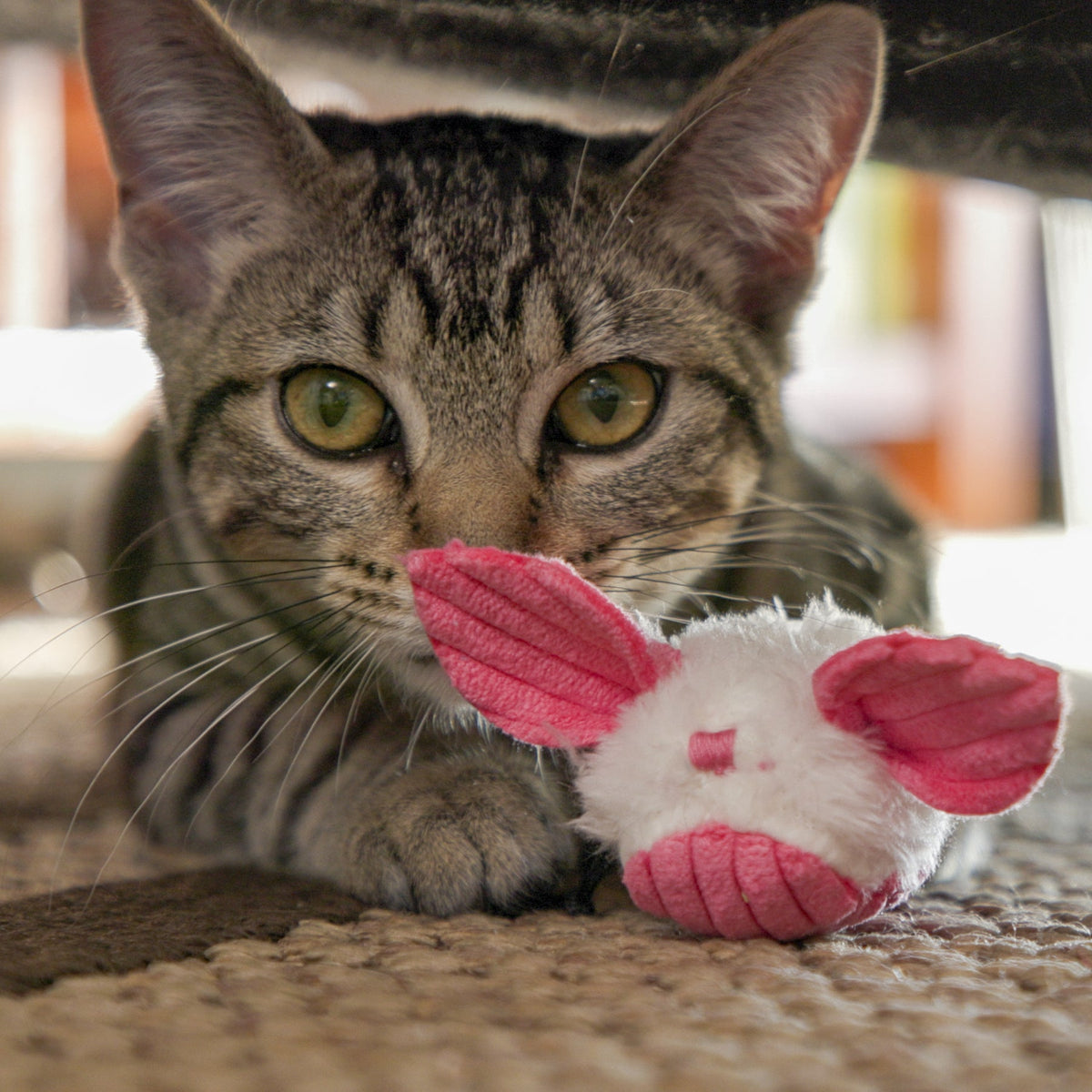 HuggleKats® Dust Bunnies Catnip Cat Toys – 3-Pack HuggleHounds