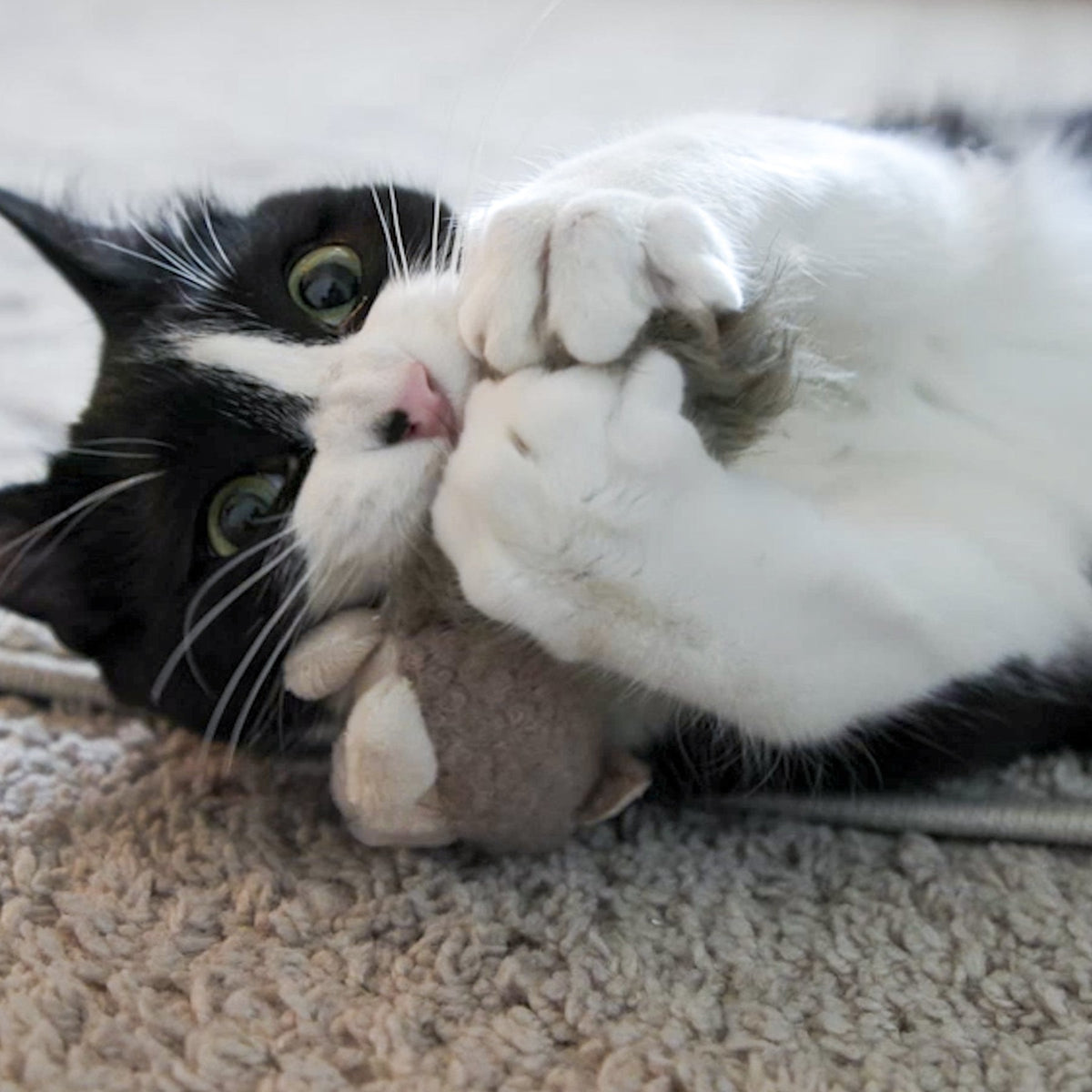 HuggleKats® Wee Feller Squirrelie Cat Toy – Catnip-Infused & Crinkle HuggleHounds