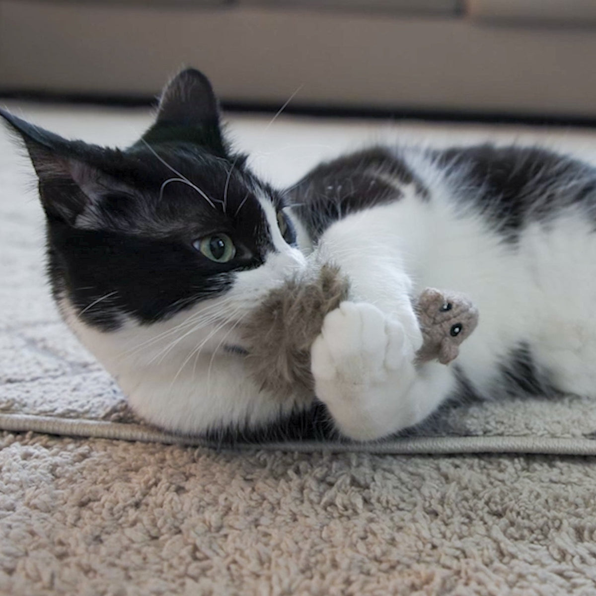 HuggleKats® Wee Feller Squirrelie Cat Toy – Catnip-Infused & Crinkle HuggleHounds