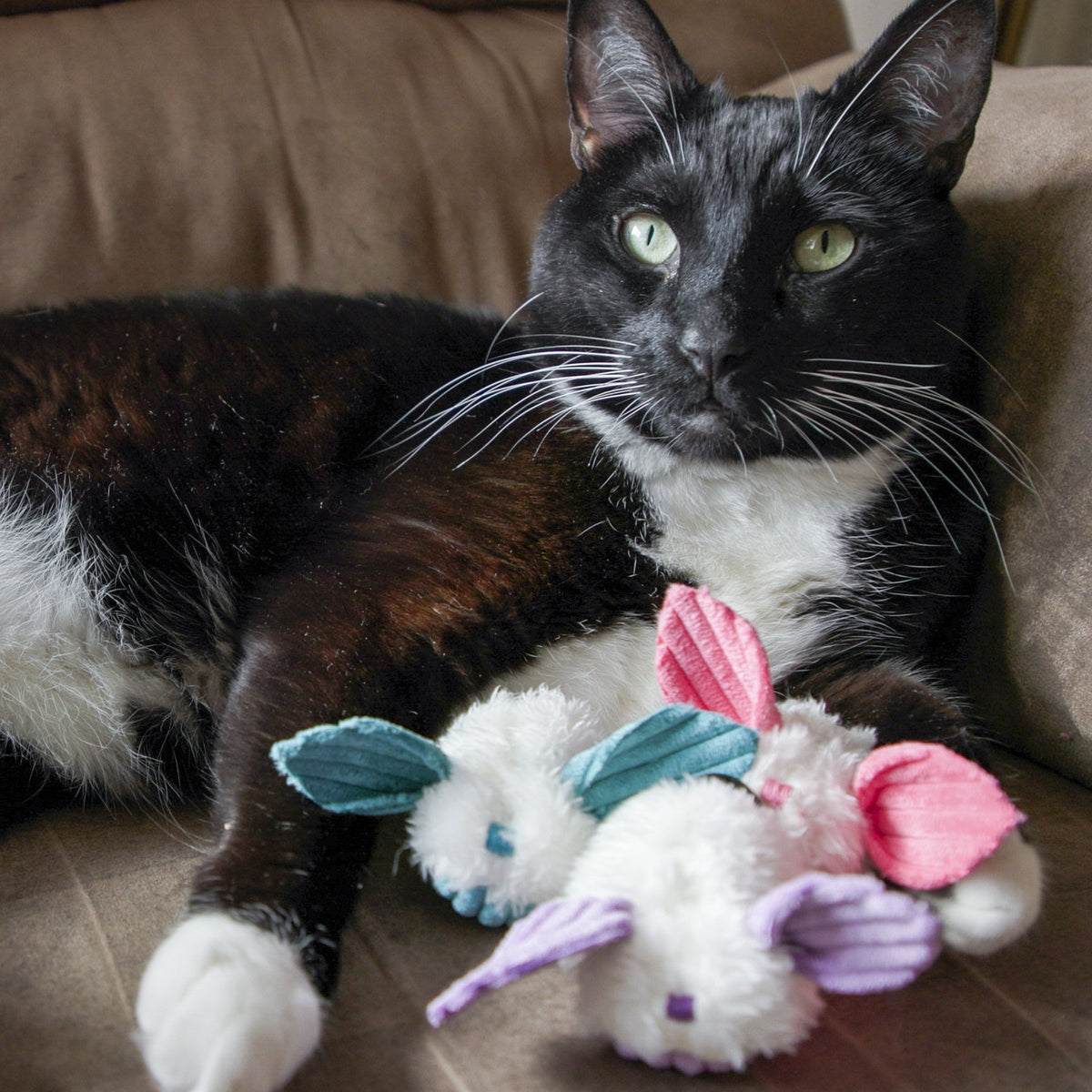 HuggleKats® Dust Bunnies Catnip Cat Toys – 3-Pack HuggleHounds