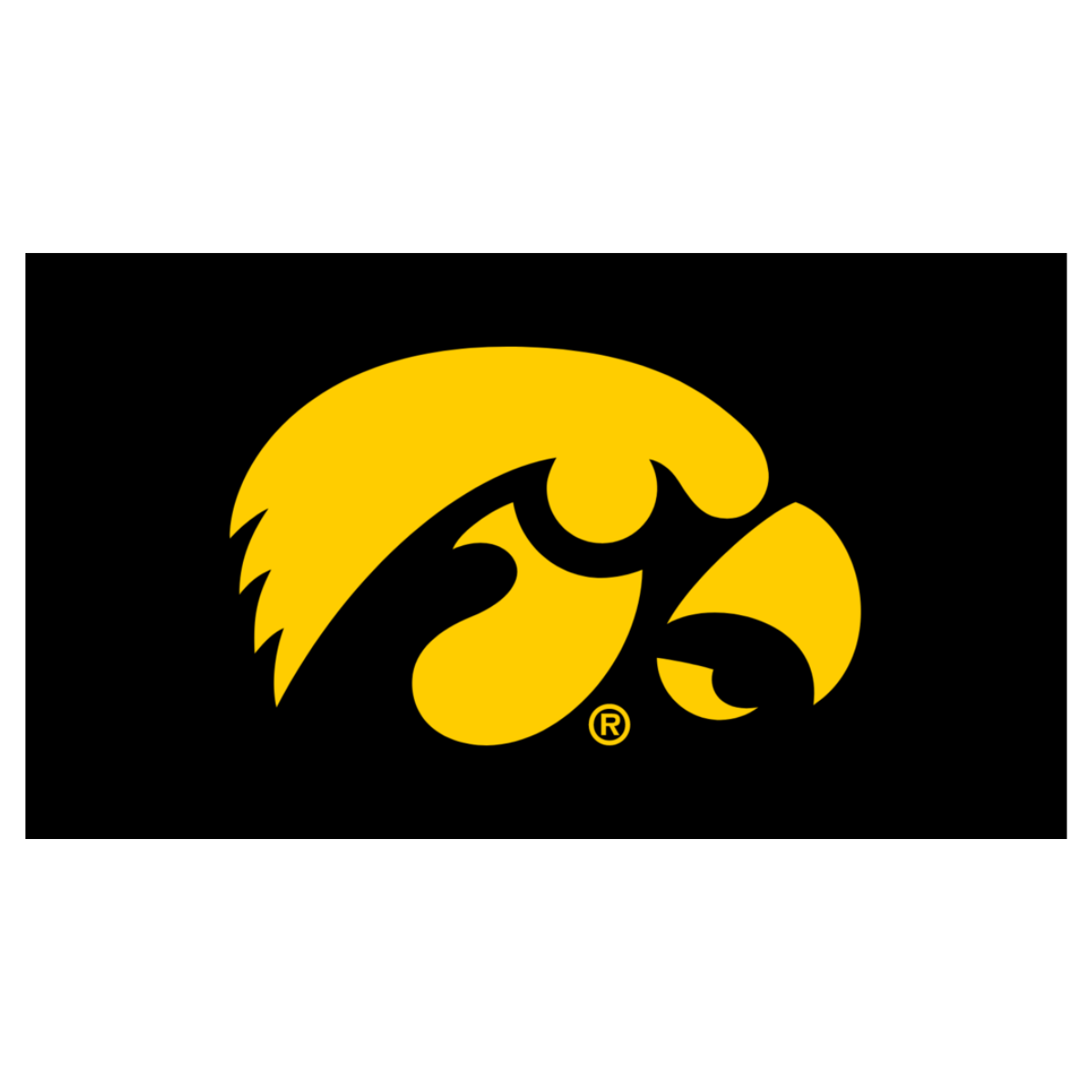 Iowa Hawkeyes Herky the Hawk Knottie® Plush Dog Toy – Officially Licensed NCAA HuggleHounds